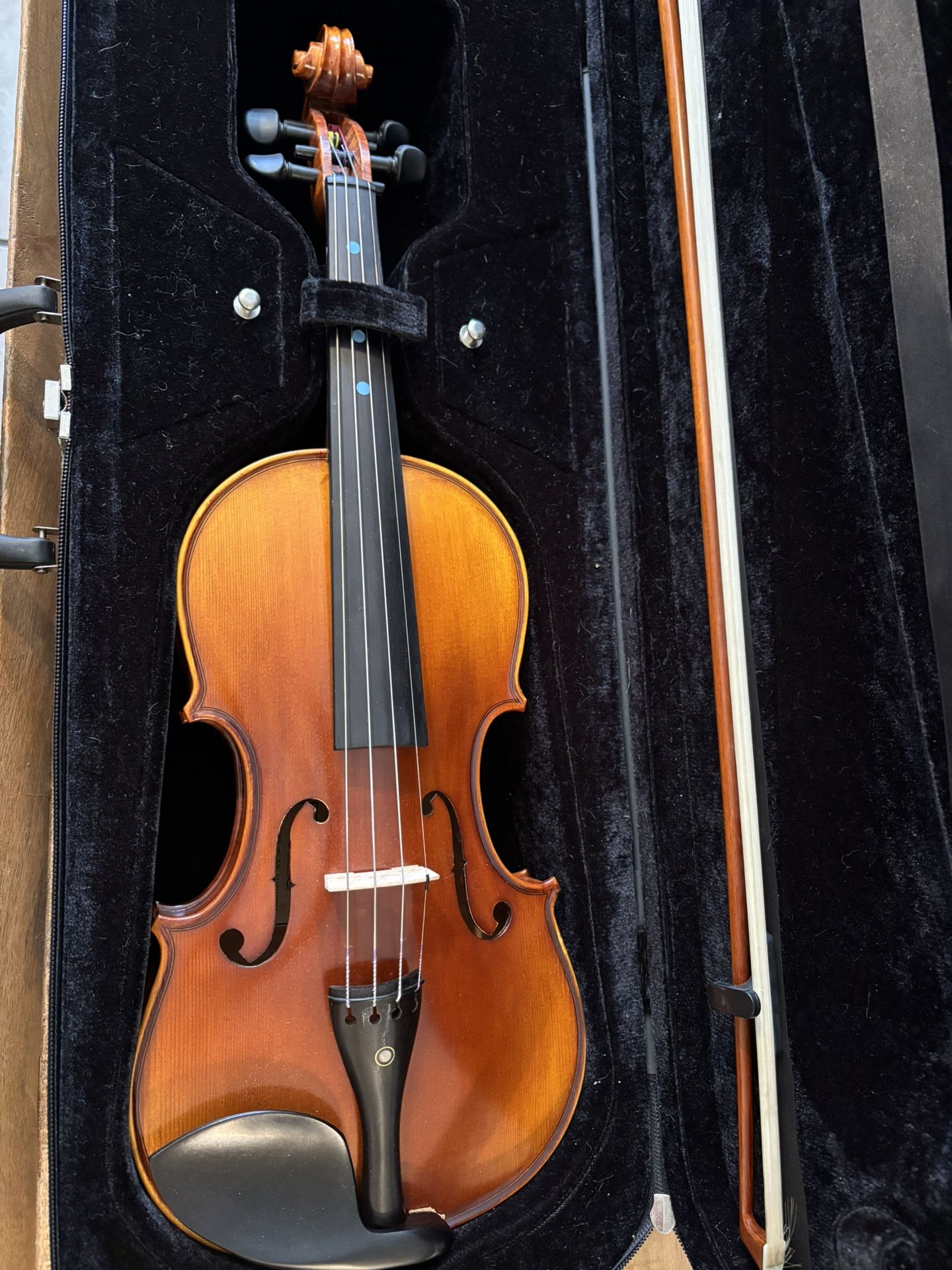 Violin