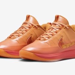 Booker Chapter 2 Phoenix 