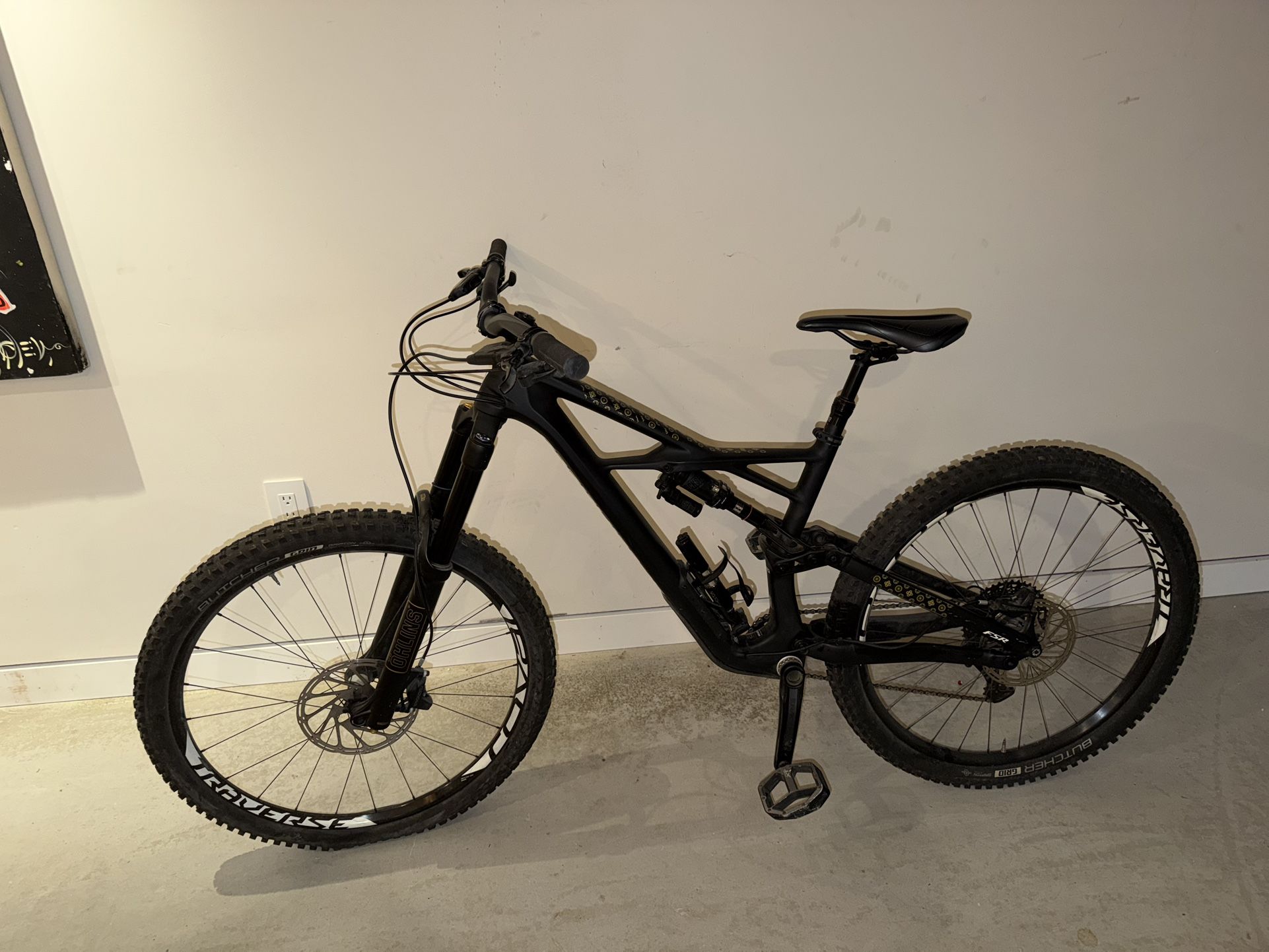 Specialized Enduro CARBON FIBER