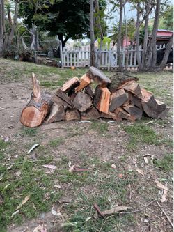Firewood – Mixed Hardwood Logs & Split Wood