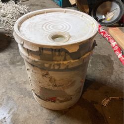 Brand New Paint Color Light Grey
