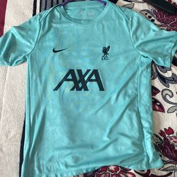 Nike Liverpool FC 2024/25 pre match authentic