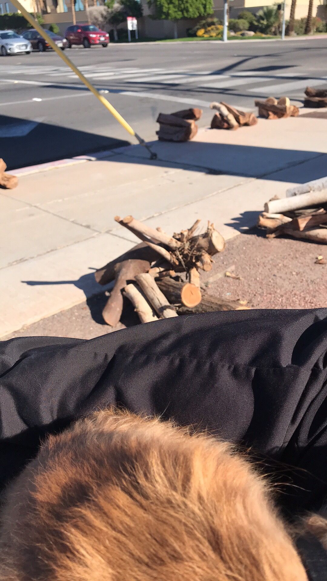 $5 firewood bundles located El Centro imperial and main st
