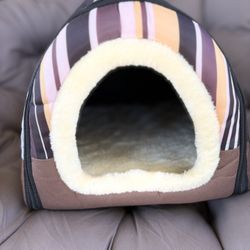 Cat House 
