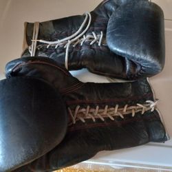 20oz. Boxing Gloves 