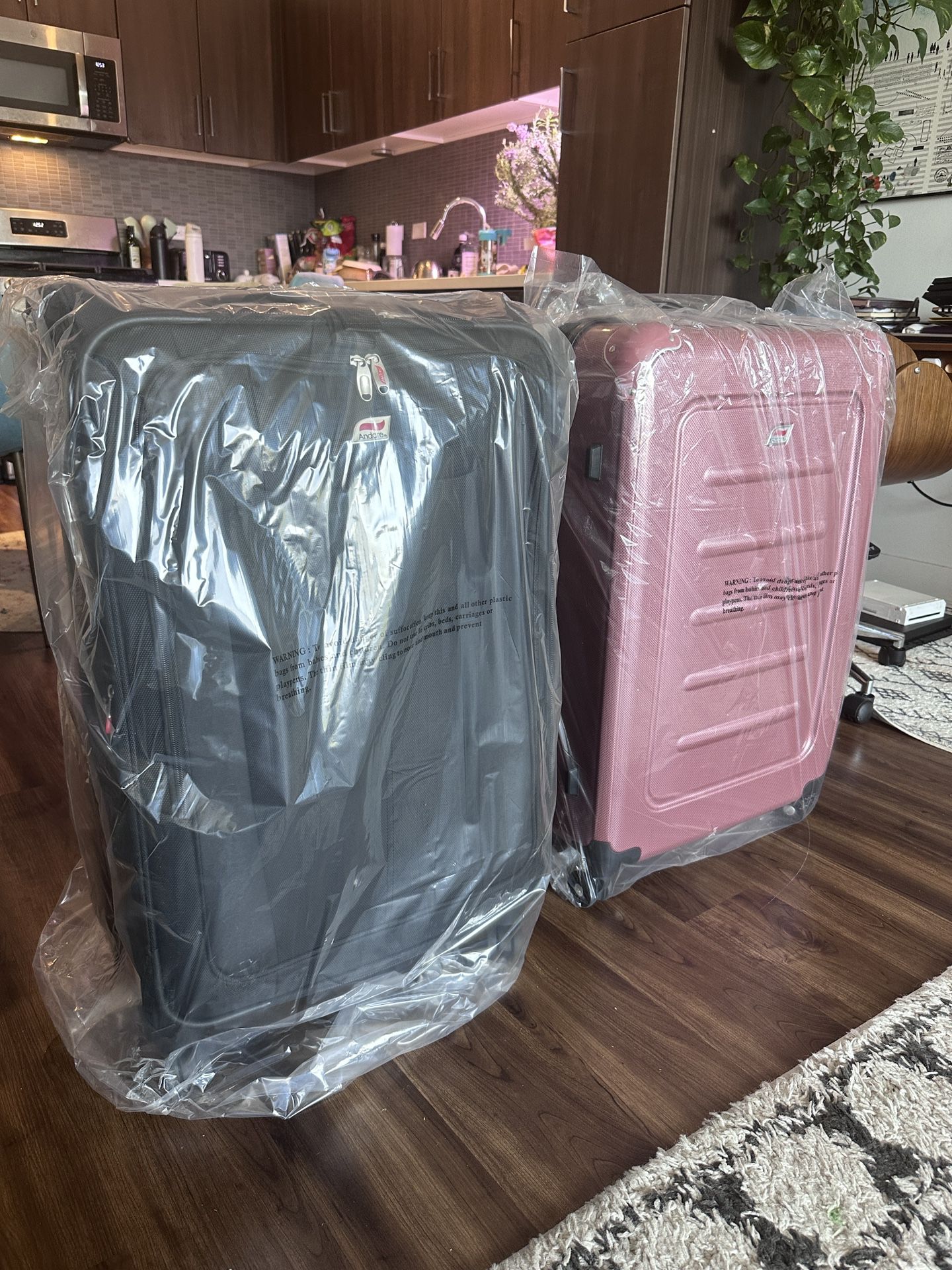 2 Suitcases NIB