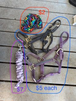 Horse tack haul
