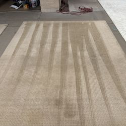 10x8 Beige Area Rug