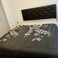Queen Size Bed Frame with Free Mattress 