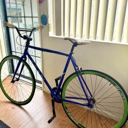 Fixed Gear  Zycle Fix Bike
