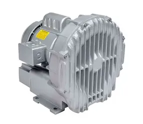 Gast Regenair r5125-2 2.5hp blower