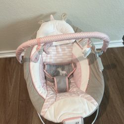 Baby Bouncer