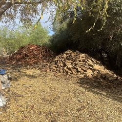 Firewood