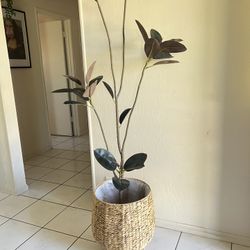 New Large Wicker Planter 14.5” Wide By 17” Height 