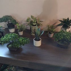 Fake Plants