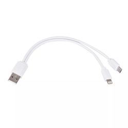 2 In 1 Charger! Thunderbolt+ 