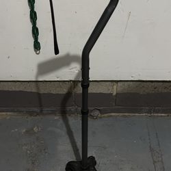 Quad Cane