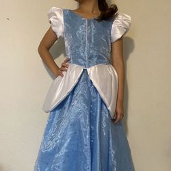 Cinderella Costume Dress