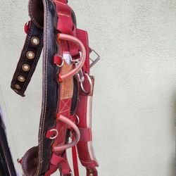 Climbing  Harness