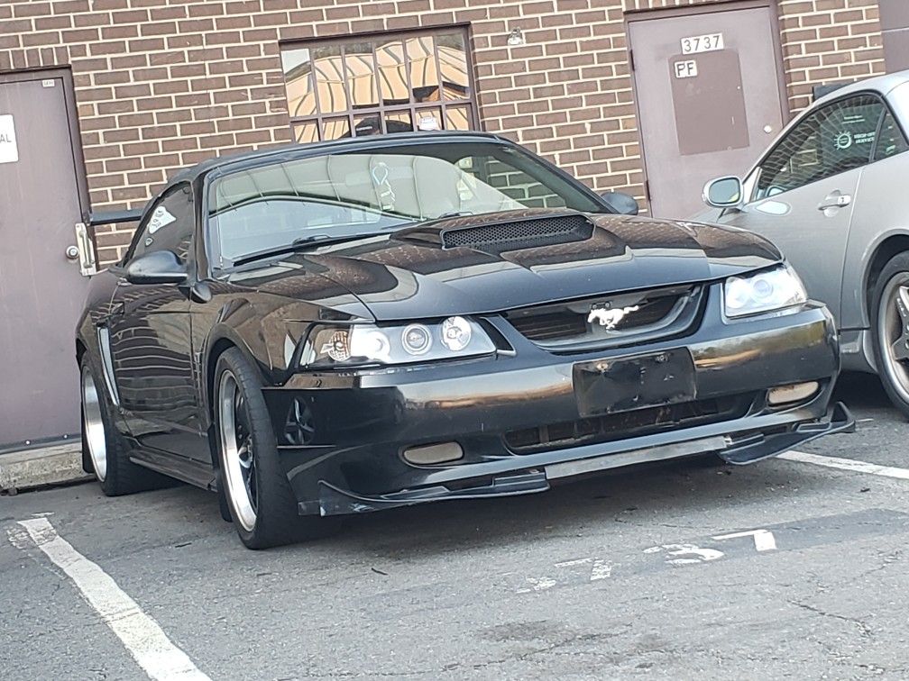 2000 Ford Mustang