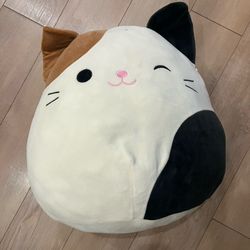 cameron the cat squishmallow