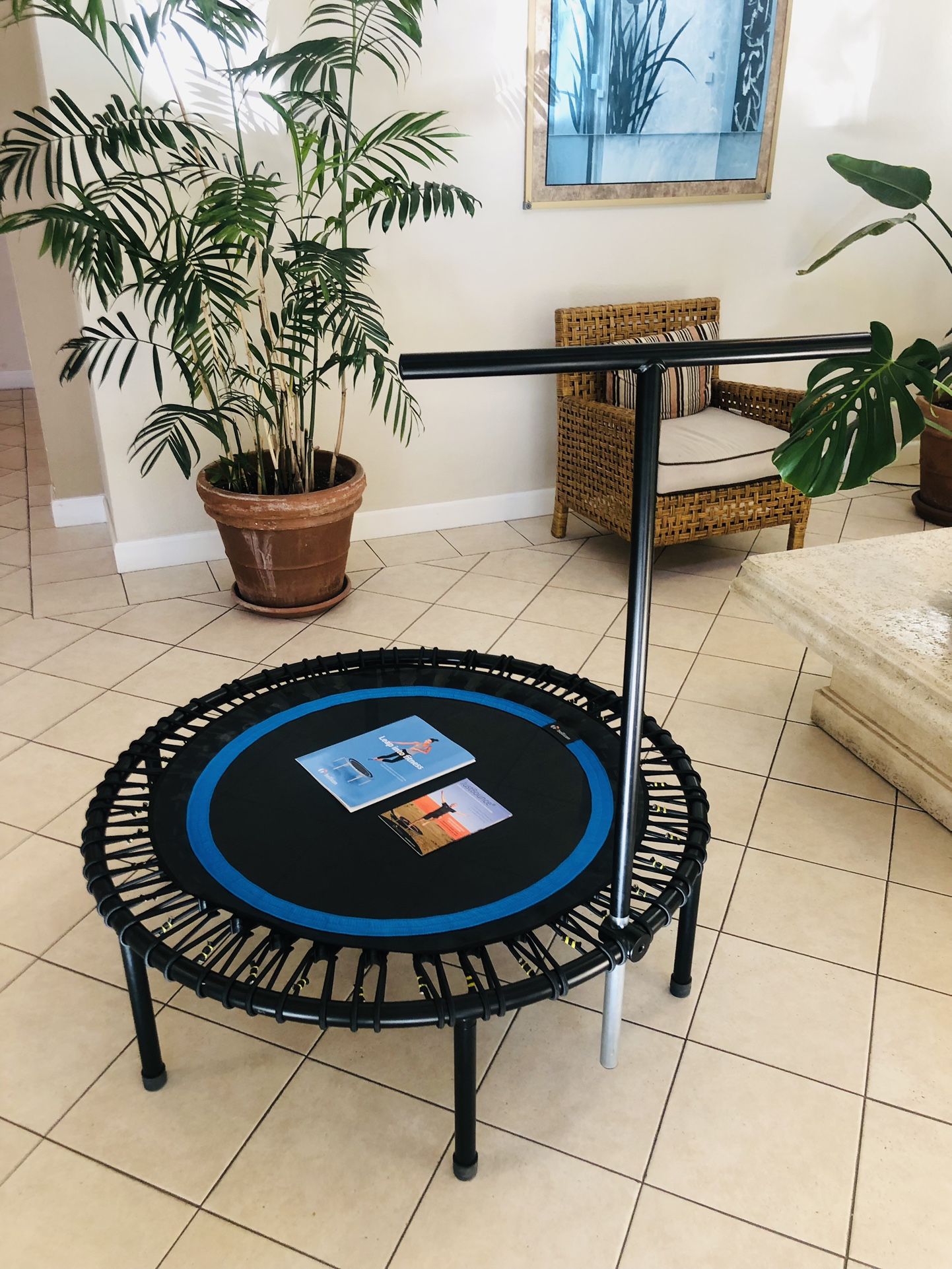 Bellicon Rebounder Mini Trampoline in New Condition 44 Inch Model Detachable Legs and Balance Bar Strong Bungees