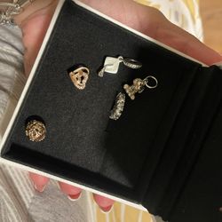 Charms Pandora 