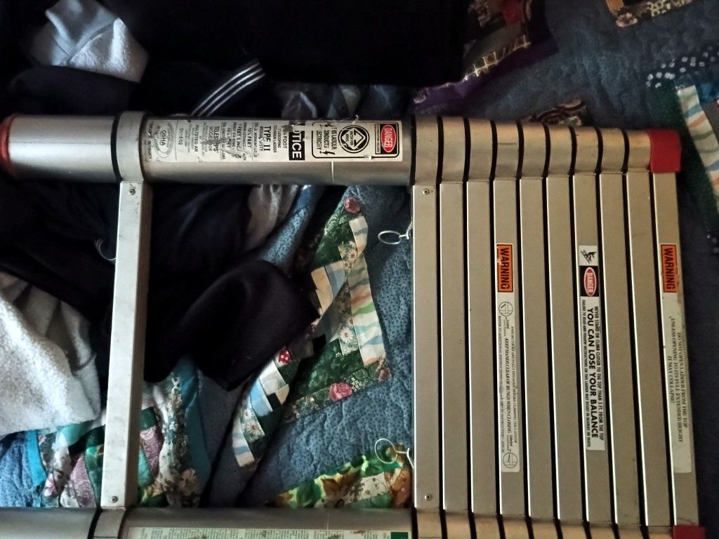 Telescopic Ladder