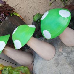 Mushrooms For Sale 