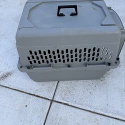 Dog House