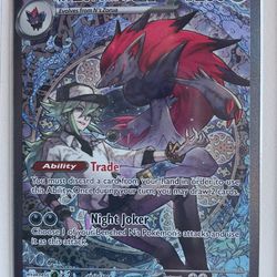 N’s zoroark SIR
