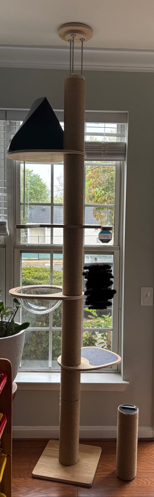 Cat Tower