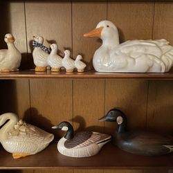 Collection Of Ducks