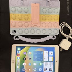 9.7" iPad Pro 1st Gen (WiFi + Cellular) / 256GB W/ Bubble Case