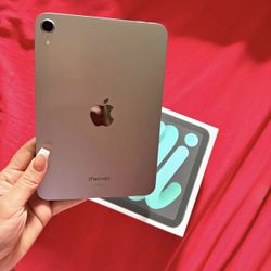 Apple IPad Mini 256GB Latest Model 