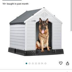 Dog House