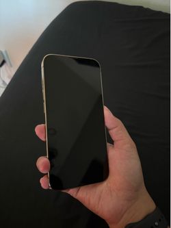 iPhone 13 Pro (UNLOCKED)