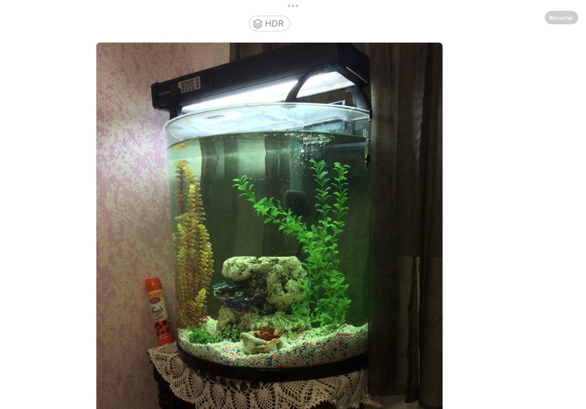 half moon fish tank $145