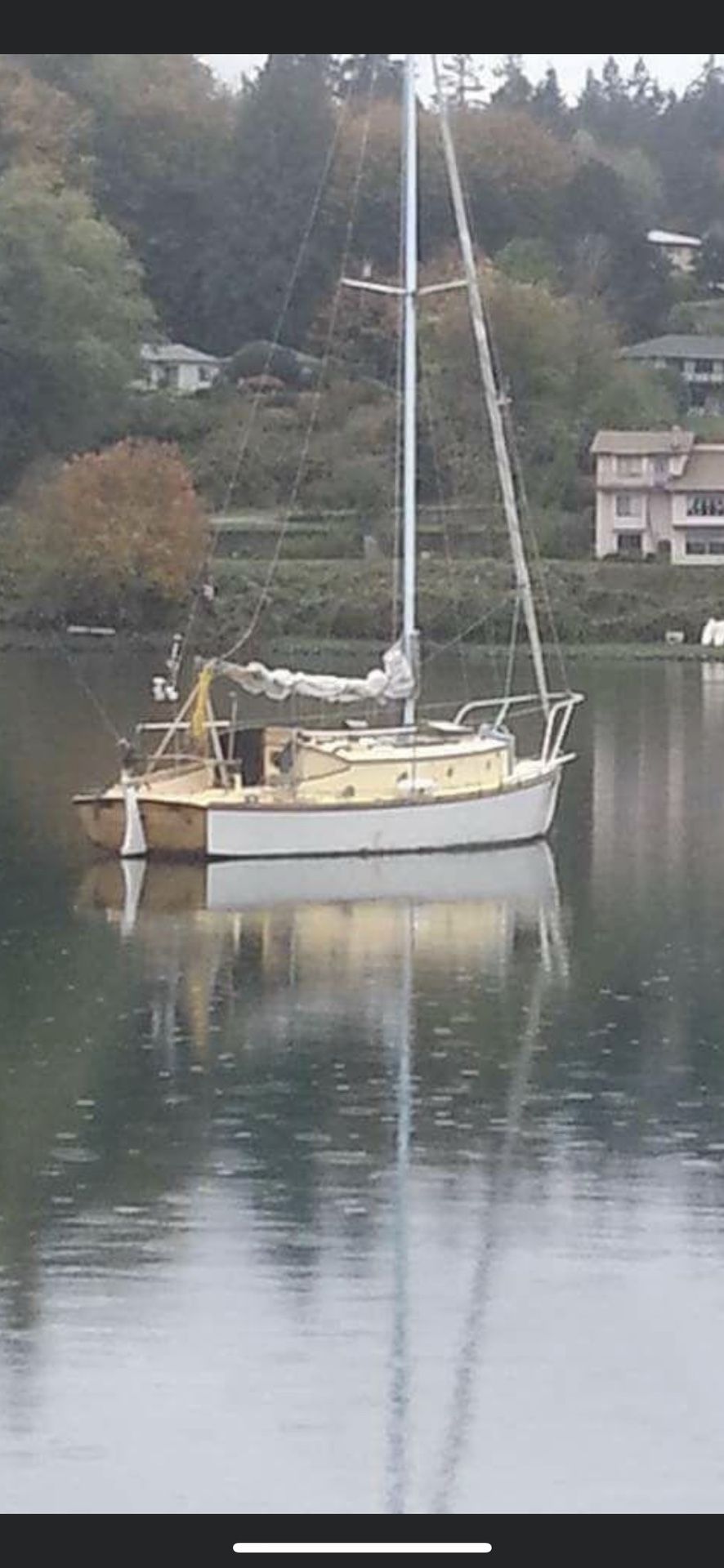 1958 Thumderbird Cedar over oak