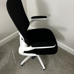 FelixKing Office Chair