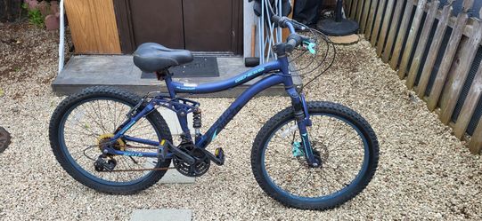 Mountain bike