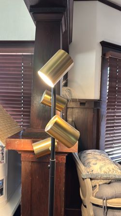 Spotlight Floor Lamp
