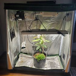 Grow Tent