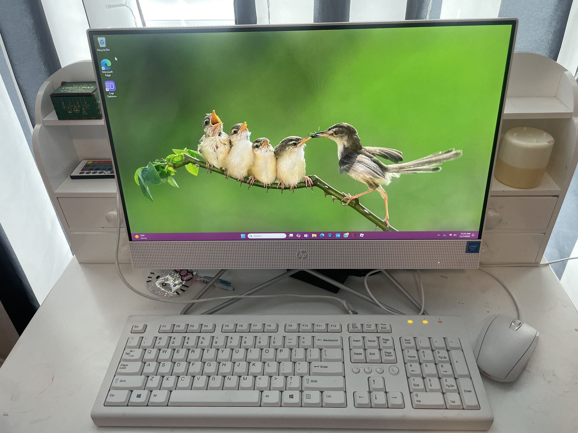 HP All In One 22in Desktop Computer