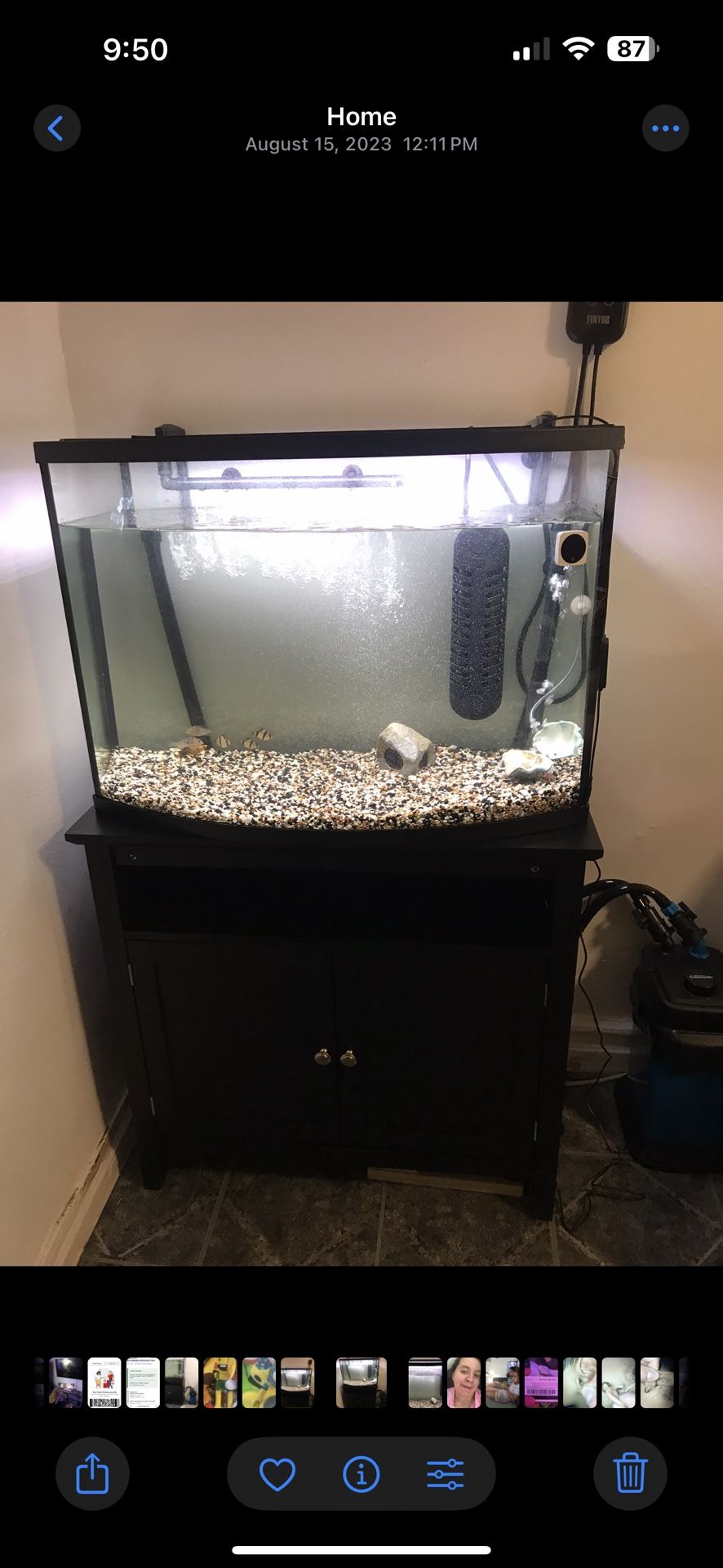 36 Gallon Arch Tank With Stand Filter And Heater