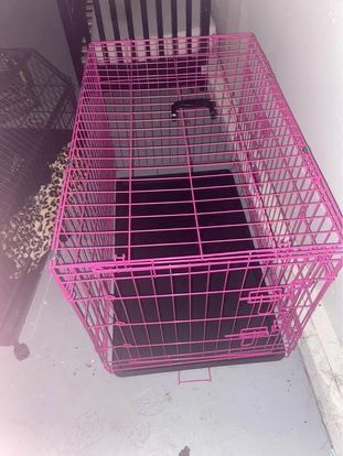 Large Pink Dog Crate