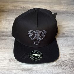 JC snapback hat 🧢