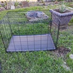 Dog Cage