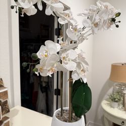 Gorgeous White Faux Orchid In Ceramic Pot