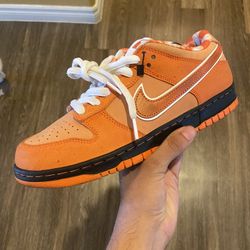 Nike dunks sb hot sale sale